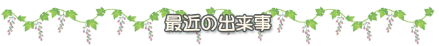 最近の出来事