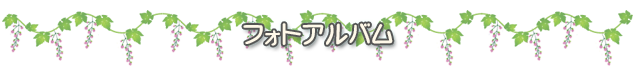 フォトアルバム